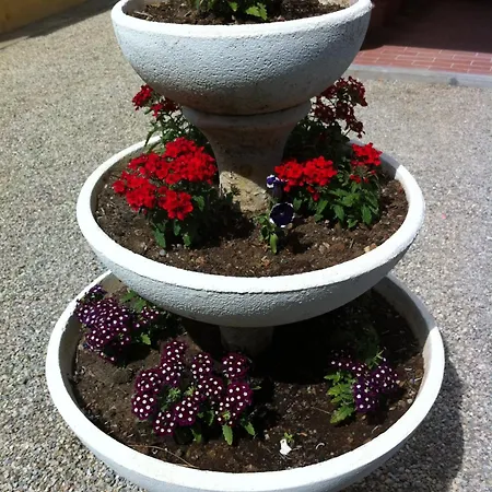 Appartement Elisa - Localita Innamorata Capoliveri (Isola d'Elba)