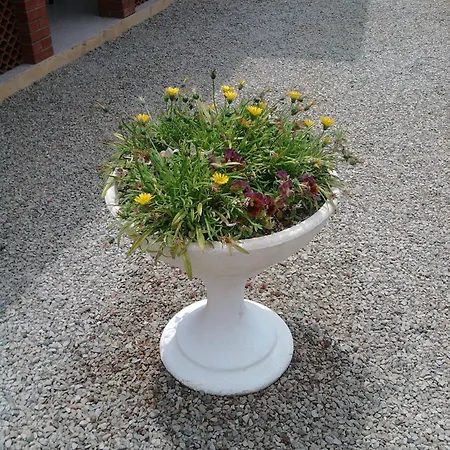 Elisa - Localita Innamorata Appartement *